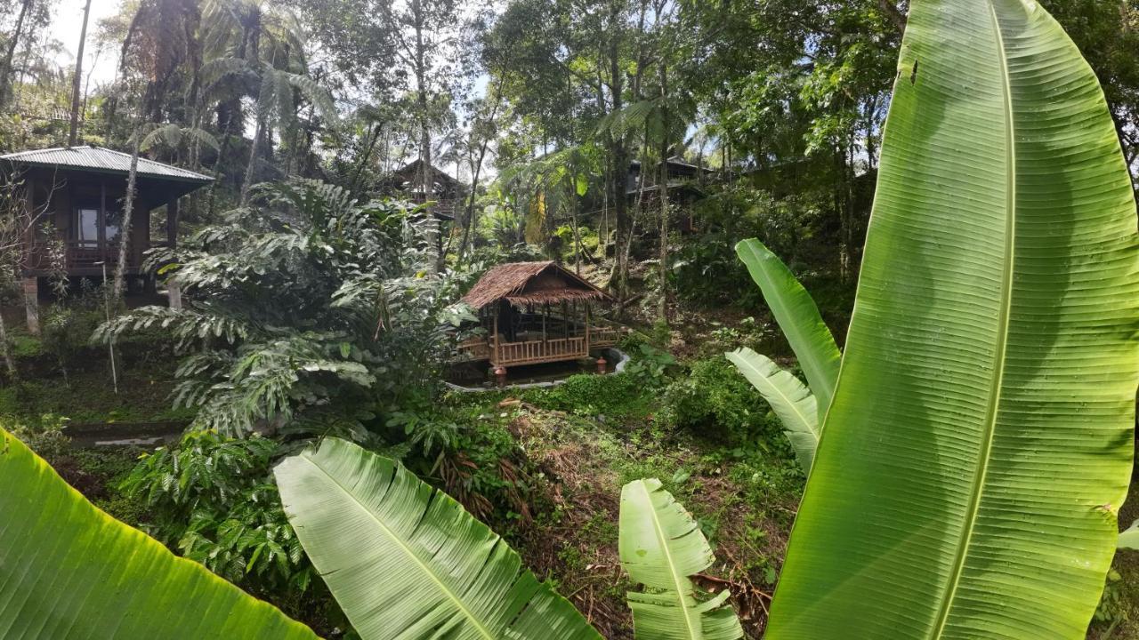 Tomohon Rimba Eco Resort מראה חיצוני תמונה