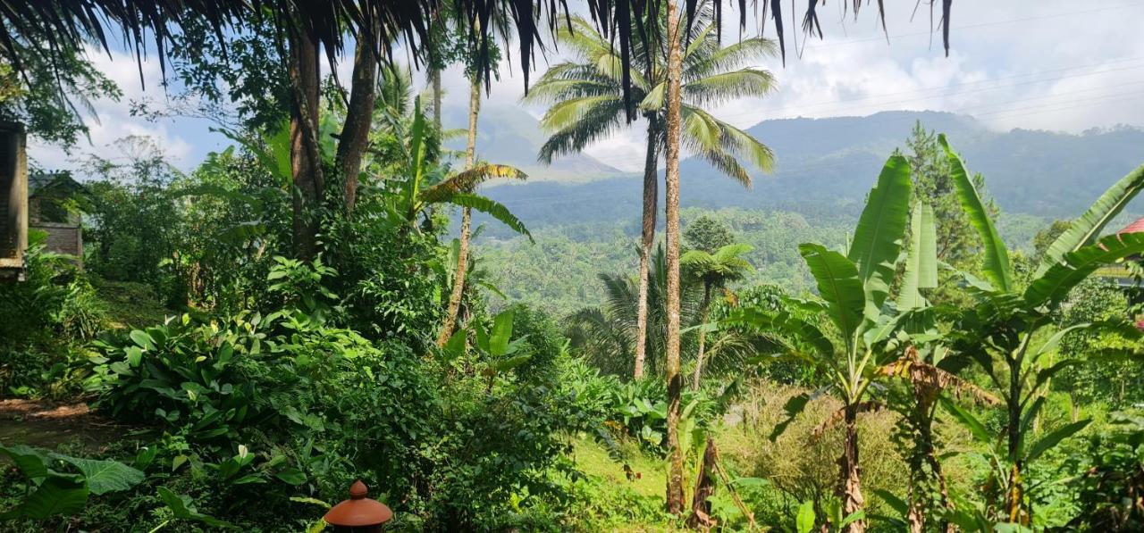 Tomohon Rimba Eco Resort מראה חיצוני תמונה