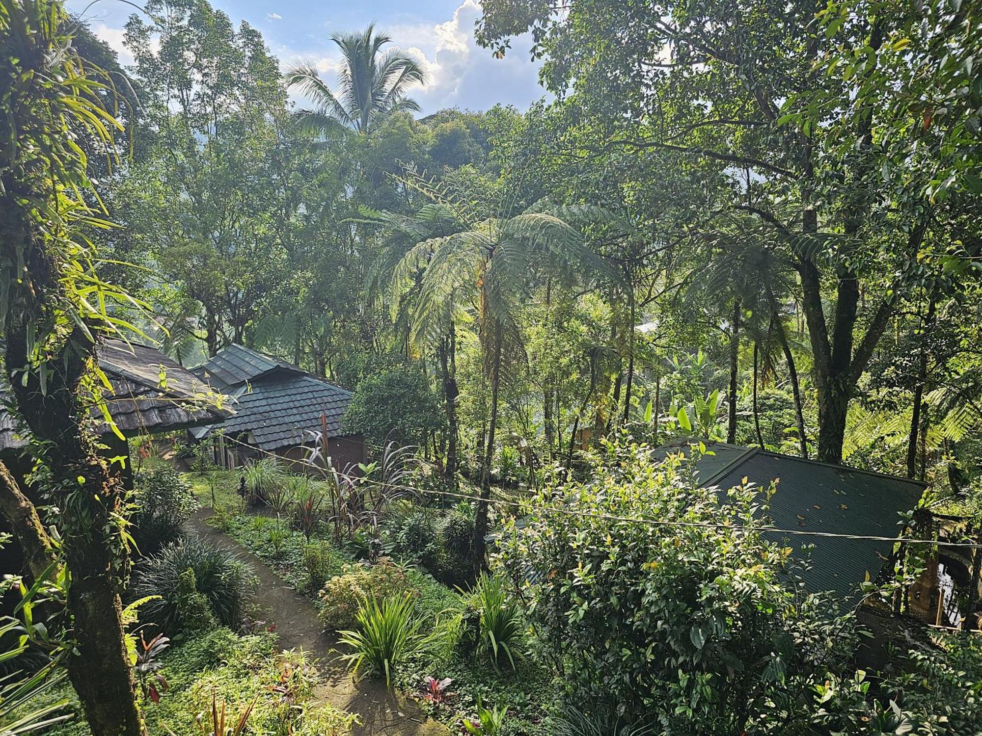 Tomohon Rimba Eco Resort מראה חיצוני תמונה